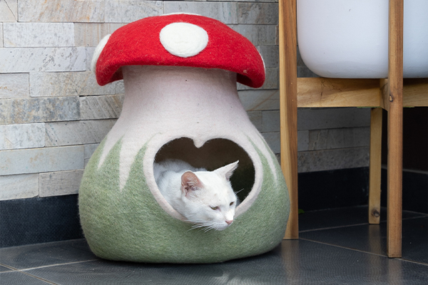 Pet beds made from felt